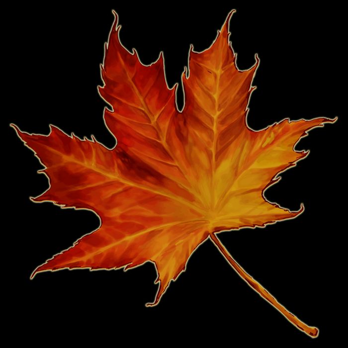 Maple Leaf Nature Tall T-Shirt