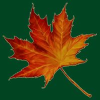 Maple Leaf Nature Cooling Performance Crew T-Shirt
