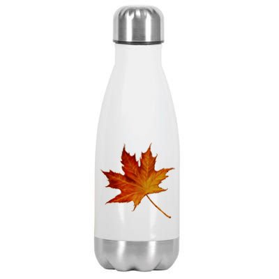 Maple Leaf Nature Stainless Steel Insulated Water Bottle