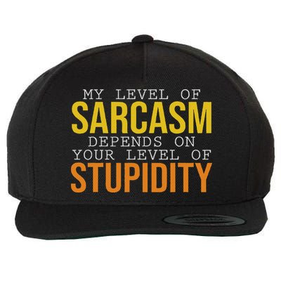 My Level Of Sarcasm Depends On Your Level Funny Sarcasm Wool Snapback Cap