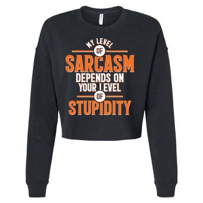 My Level Of Sarcasm Depends On Your Level Of Stupidity Cropped Pullover Crew
