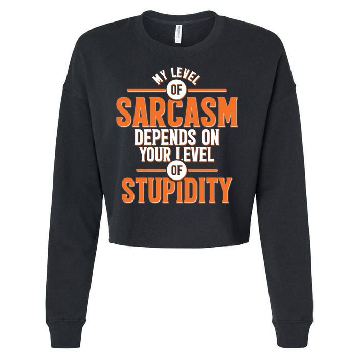 My Level Of Sarcasm Depends On Your Level Of Stupidity Cropped Pullover Crew
