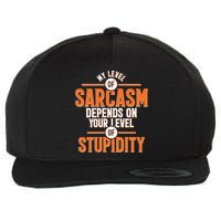 My Level Of Sarcasm Depends On Your Level Of Stupidity Wool Snapback Cap