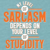 My Level Of Sarcasm Depends On Your Level Of Stupidity Sueded Cloud Jersey T-Shirt