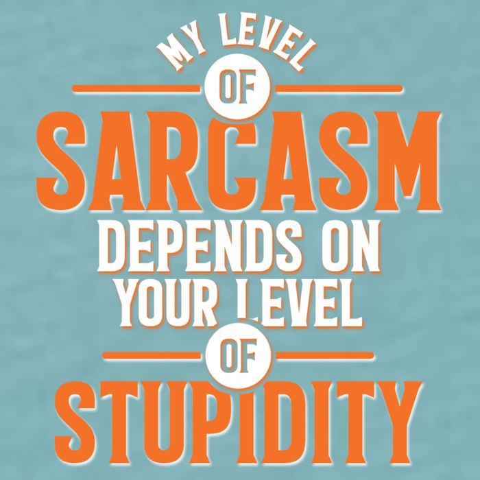 My Level Of Sarcasm Depends On Your Level Of Stupidity Sueded Cloud Jersey T-Shirt