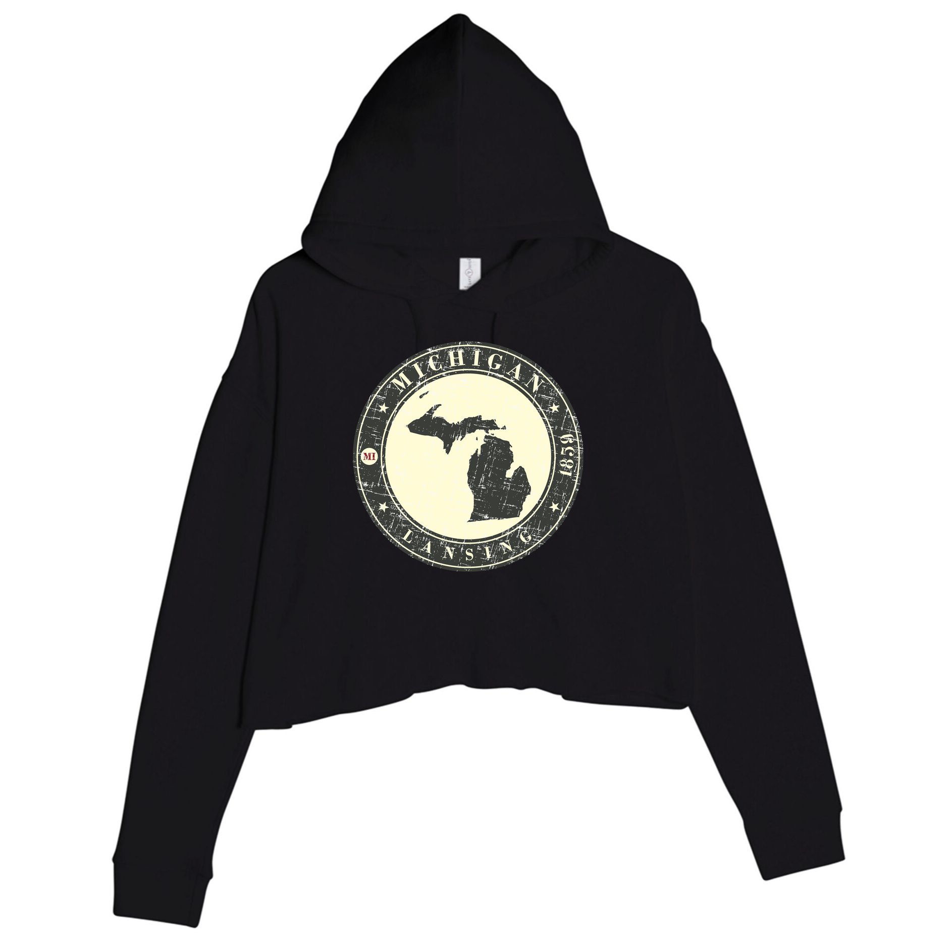 Michigan Lansing Retro Crop Fleece Hoodie