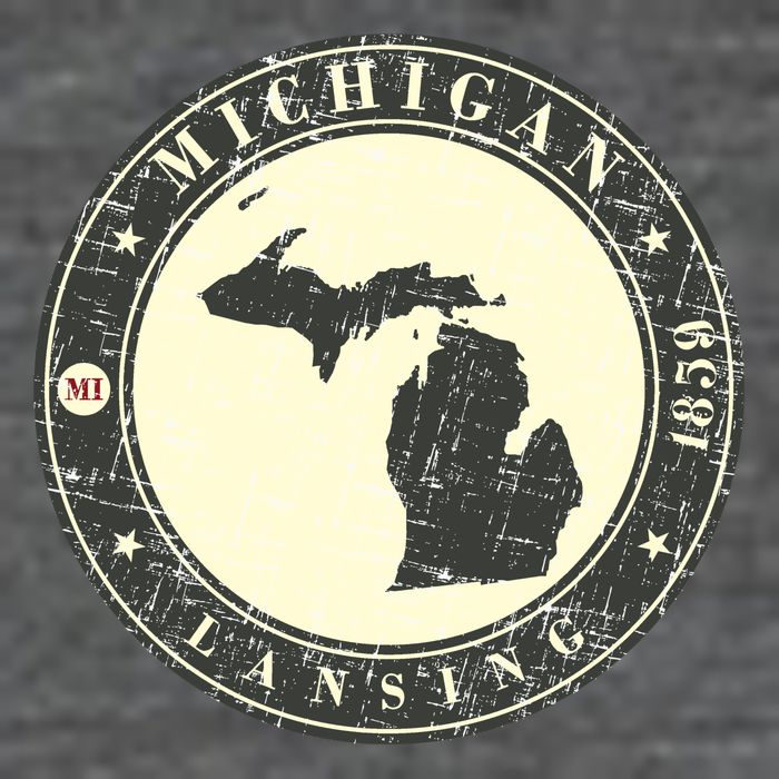 Michigan Lansing Retro Button