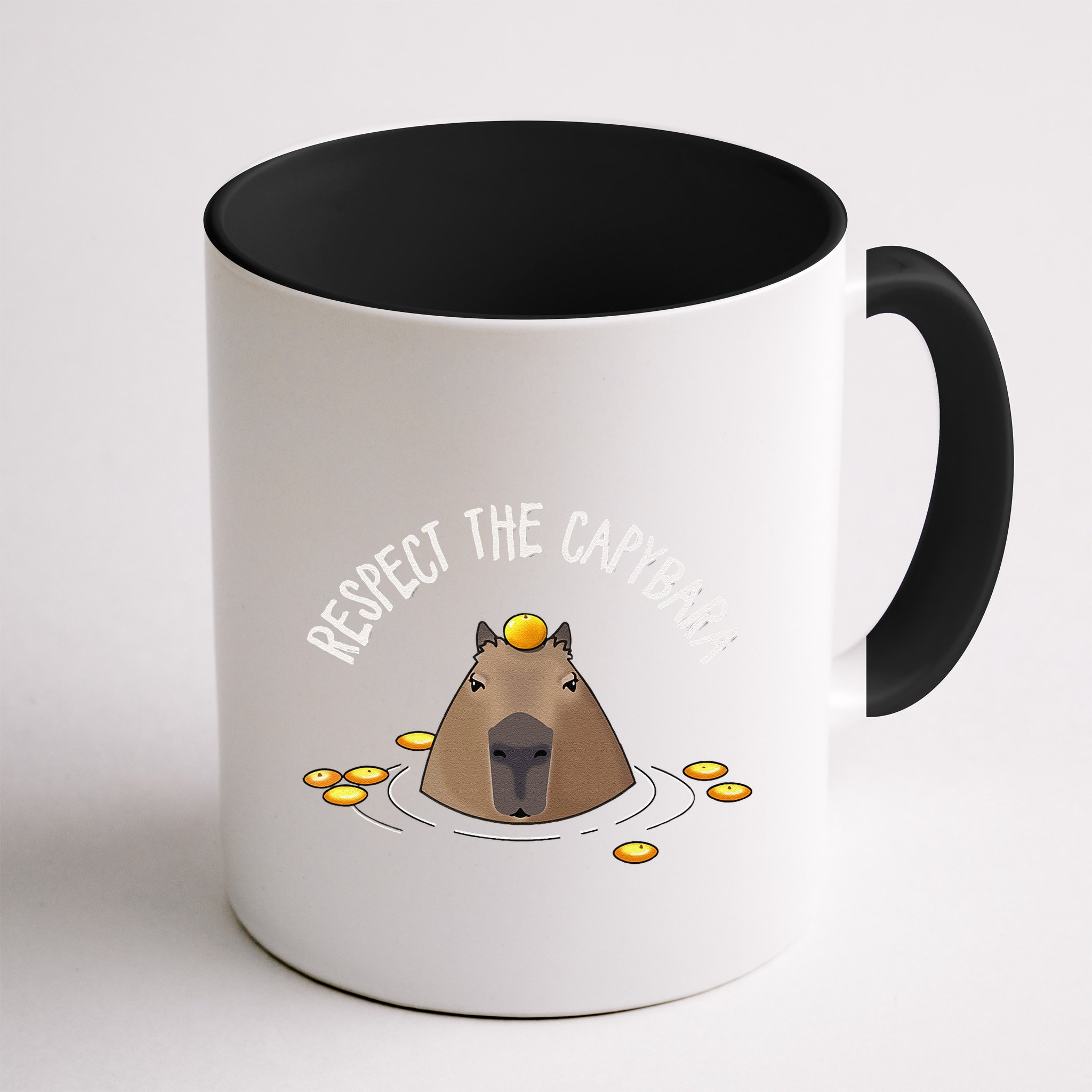 Meme Lover Respect Capybara Mug