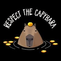 Meme Lover Respect Capybara Drawstring Bag