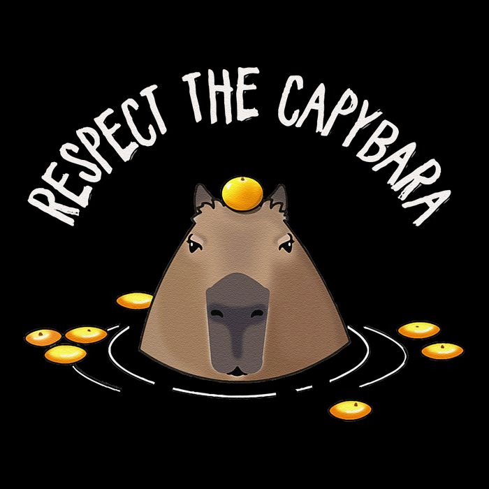 Meme Lover Respect Capybara Drawstring Bag