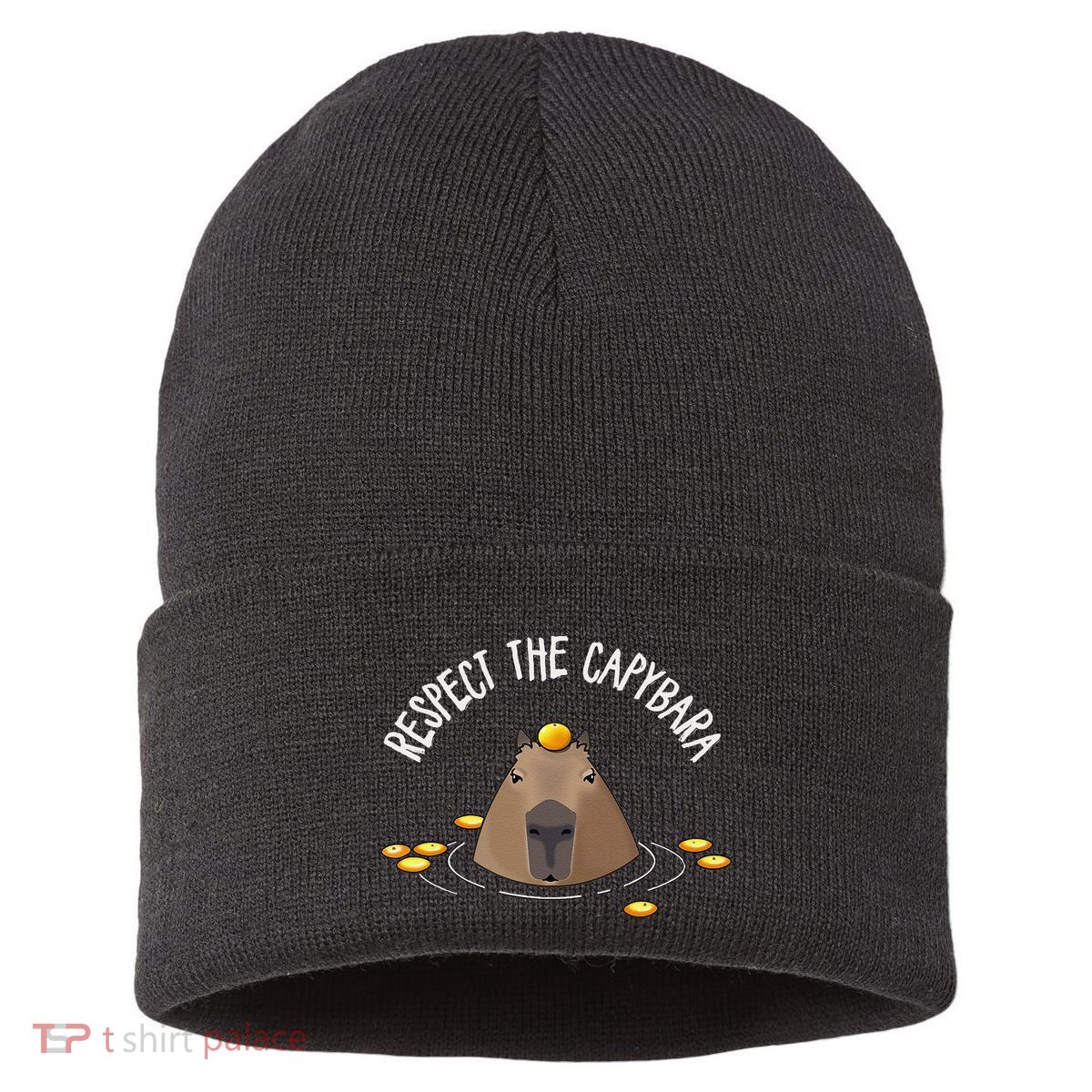 Meme Lover Respect Capybara Sustainable Knit Beanie
