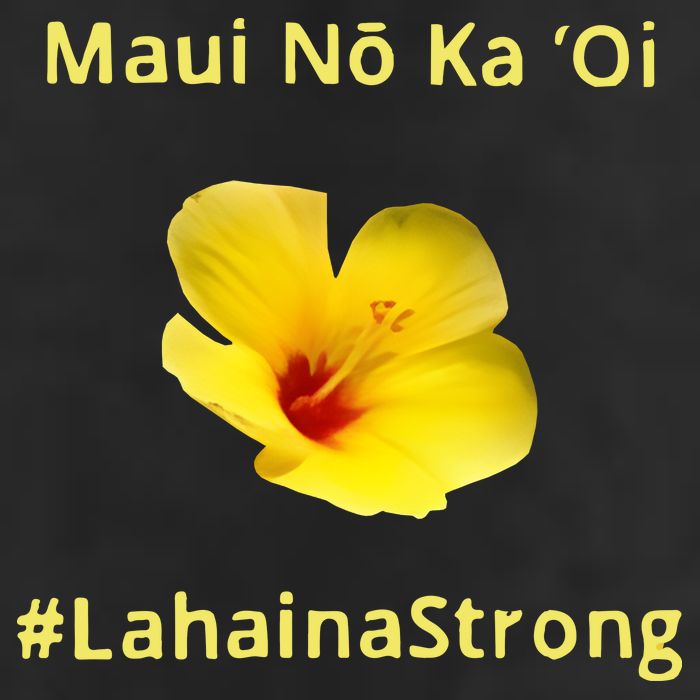 Maui Lahaina Strong Hawaii Strong Wildfire Support Cool Comfort Performance Bucket Hat