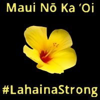 Maui Lahaina Strong Hawaii Strong Wildfire Support Wool Snapback Cap