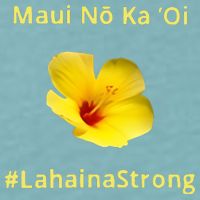 Maui Lahaina Strong Hawaii Strong Wildfire Support Sueded Cloud Jersey T-Shirt