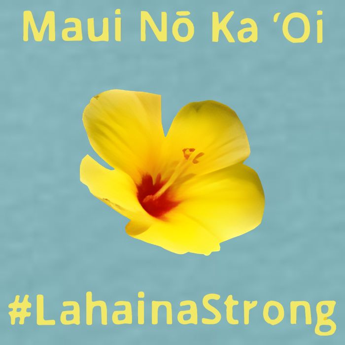 Maui Lahaina Strong Hawaii Strong Wildfire Support Sueded Cloud Jersey T-Shirt
