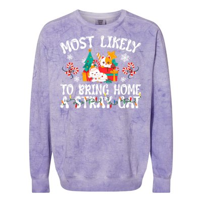 Most Likely To Bring Home A Stray Cat Matching Christmas Colorblast Crewneck Sweatshirt