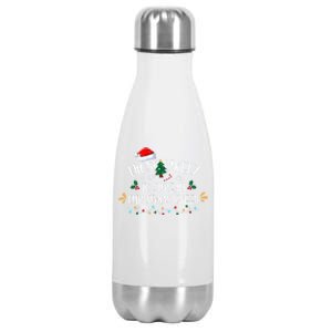 Most Likely To Spread Christmas Cheer Family Xmax Meaningful Gift Stainless Steel Insulated Water Bottle