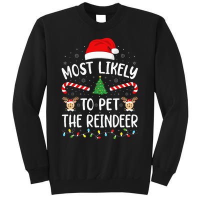 Most Likely To Pet The Reindeer Squad Family Joke Christmas Sweatshirt