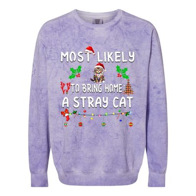 Most Likely To Bring Home Stray Cat Family Matching  Colorblast Crewneck Sweatshirt