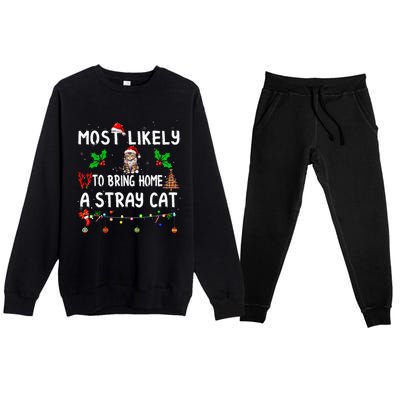 Most Likely To Bring Home Stray Cat Family Matching  Premium Crewneck Sweatsuit Set