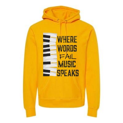 Music Lovers Themed Gift Tee Premium Hoodie