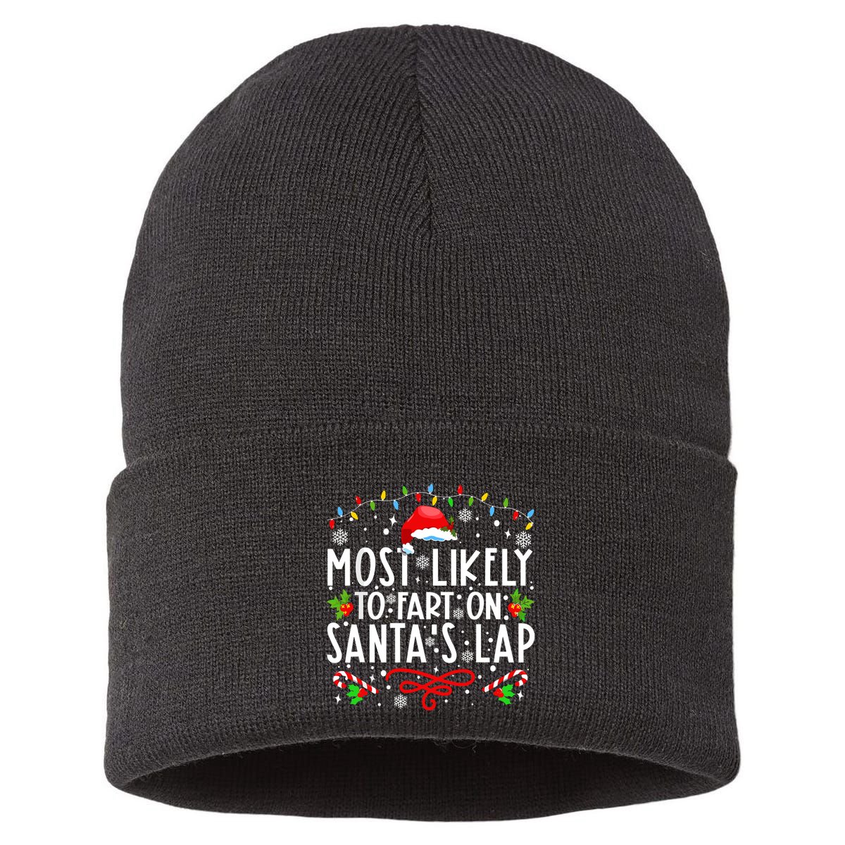 Most Likely To Fart On Santas Lap Family Matching Christmas Sustainable Knit Beanie