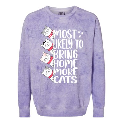 Most Likely To Bring Home More Cats Lover Adopt A Cat Women Colorblast Crewneck Sweatshirt