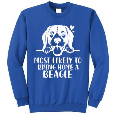 Most Likely To Bring Home A Dog Beagle For Christmas Gift Sweatshirt