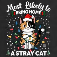 Most Likely To Bring Home A Stray Cat Matching Christmas 7 Panel Mesh Trucker Snapback Hat
