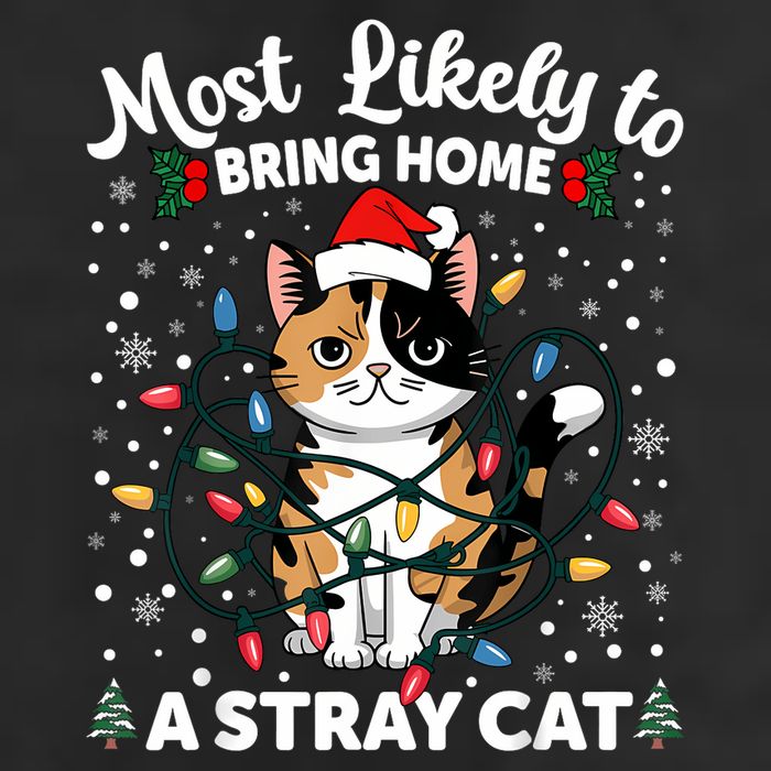 Most Likely To Bring Home A Stray Cat Matching Christmas 7 Panel Mesh Trucker Snapback Hat