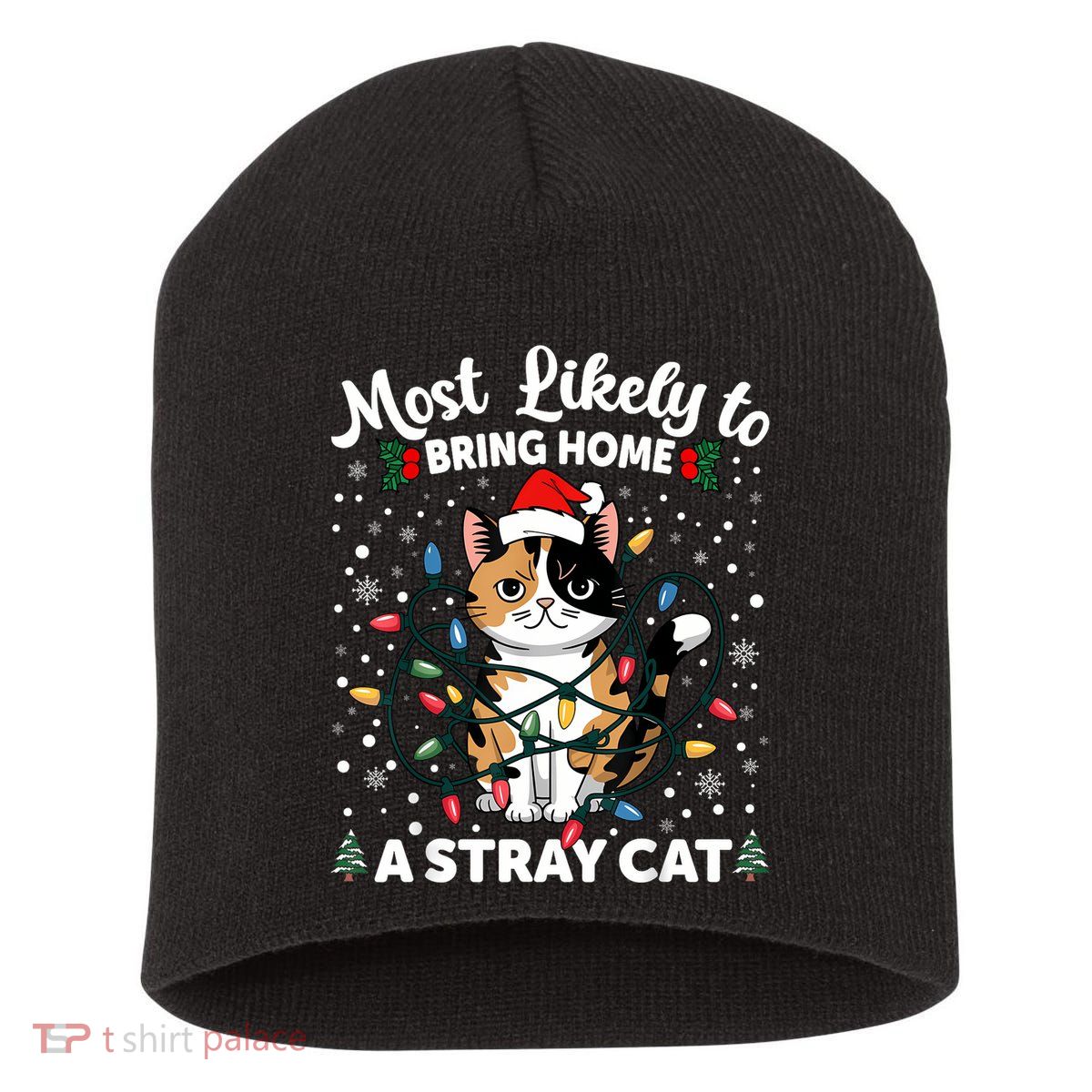 Most Likely To Bring Home A Stray Cat Matching Christmas Short Acrylic Beanie
