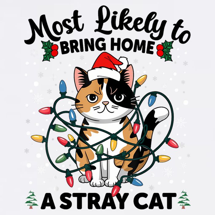 Most Likely To Bring Home A Stray Cat Matching Christmas Garment-Dyed Sweatshirt