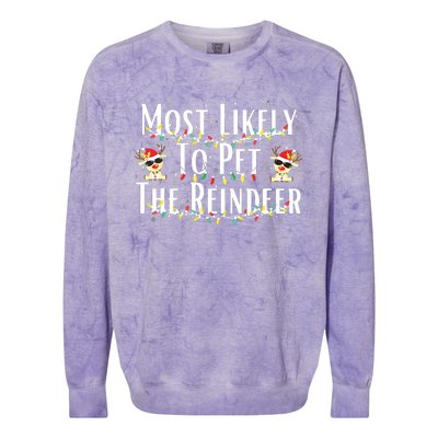 Most Likely To Pet The Reindeer Christmas Tree Lights Colorblast Crewneck Sweatshirt