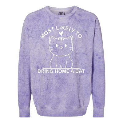 Most Likely To Bring Home A Cat Funny Colorblast Crewneck Sweatshirt