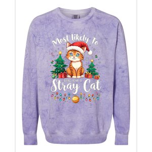 Most Likely To Bring Home A Stray Cat Christmas Santa Hat Cool Gift Colorblast Crewneck Sweatshirt