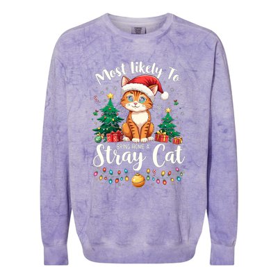 Most Likely To Bring Home A Stray Cat Christmas Santa Hat Cool Gift Colorblast Crewneck Sweatshirt