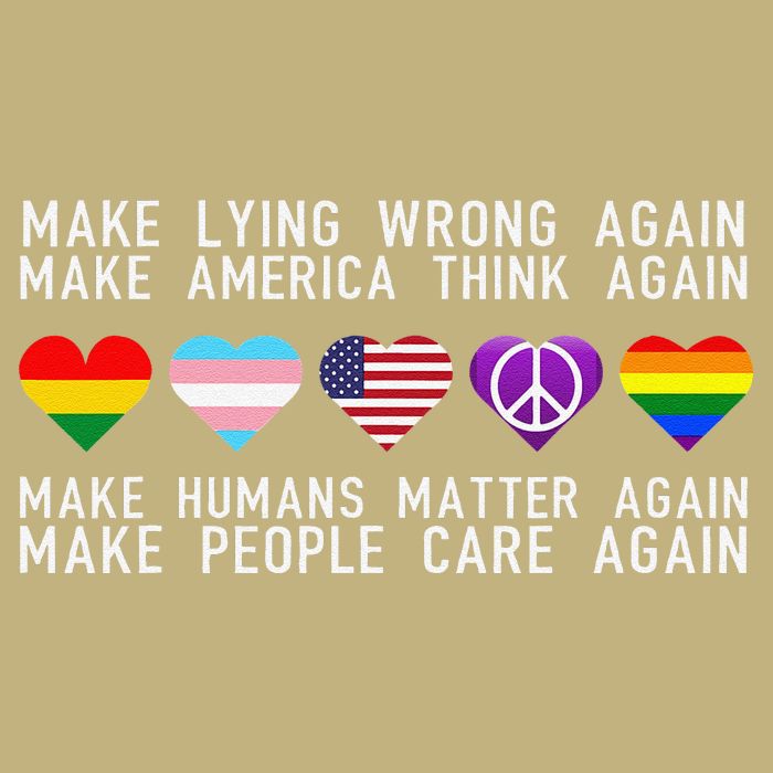 Make Lying Wrong Again Human Rights Sarcastic Statement Hoodie