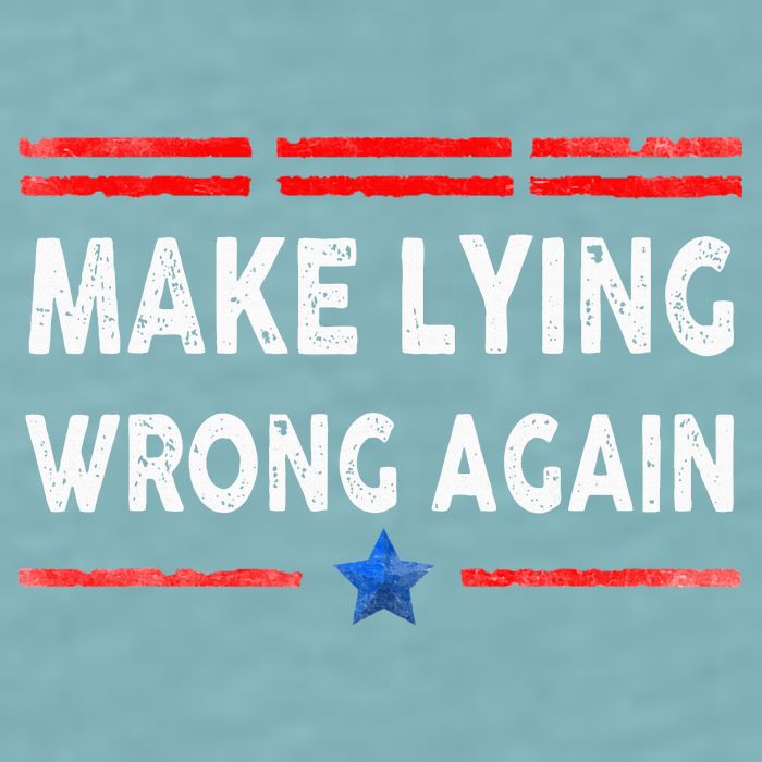 Make Lying Wrong Again Sueded Cloud Jersey T-Shirt