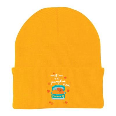 Meet Me At Pumpkin Patch Thanksgiving Truck Knit Cap Winter Beanie