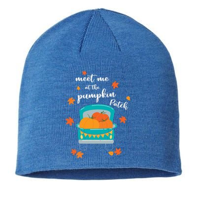 Meet Me At Pumpkin Patch Thanksgiving Truck Sustainable Beanie