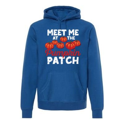 Meet Me At The Pumpkin Patch Funny Fall Thanksgiving Turkey Gift Premium Hoodie