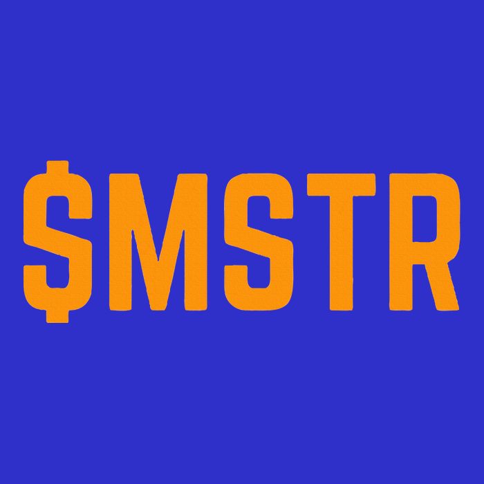 $Mstr Microstrategy Bitcoin 16 in Basic Backpack