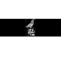 Memento Mori Crow Skull Moon Bumper Sticker