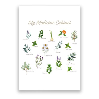 My Medicine Cabinet Natural Healing Plants Medicinal Herbs Poster