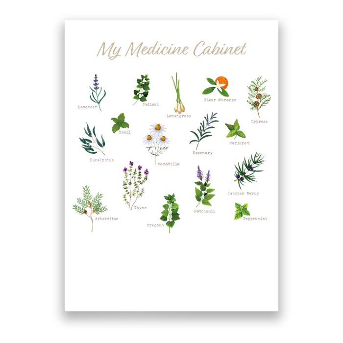 My Medicine Cabinet Natural Healing Plants Medicinal Herbs Poster