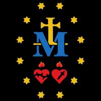 Miraculous Medal Catholic Holy Mary Sacred Heart Jesus Toddler Hoodie