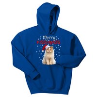 Merry Myass Cagift Cute Cat With Christmas Santa Hat Cute Gift Kids Hoodie