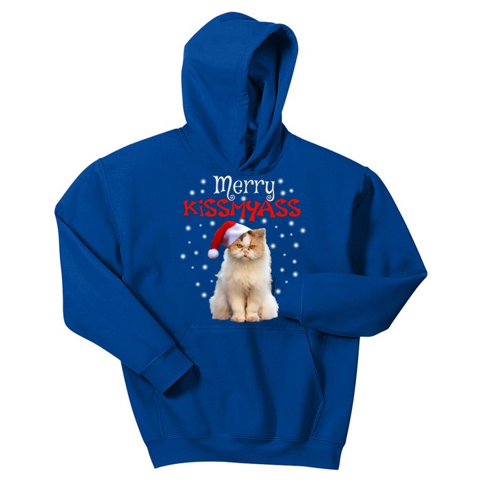 Merry Myass Cagift Cute Cat With Christmas Santa Hat Cute Gift Kids Hoodie