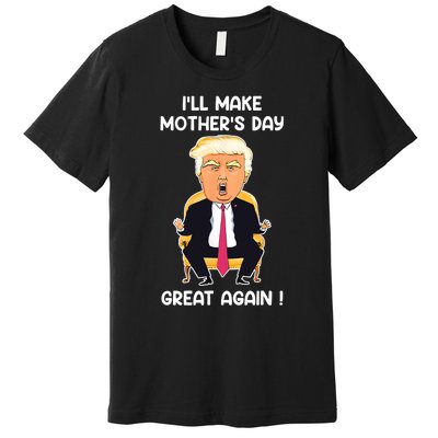 Make MotherS Day Great Again Mom Ltsp Funny Donald Trump Premium T-Shirt