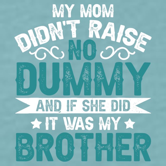 My Mom Didnt Raise No Dummy If She Did It Was My Brother Sueded Cloud Jersey T-Shirt